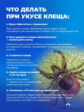 Клещей в этом году будет меньше… но не везде