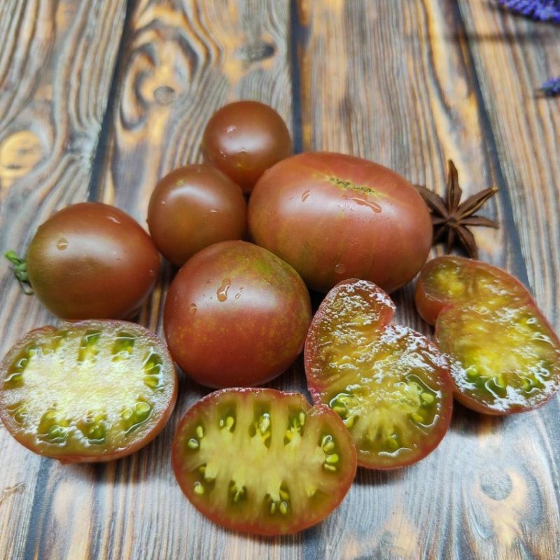 ����� ����� ����: ������� ������������� ����� � ������������ ������