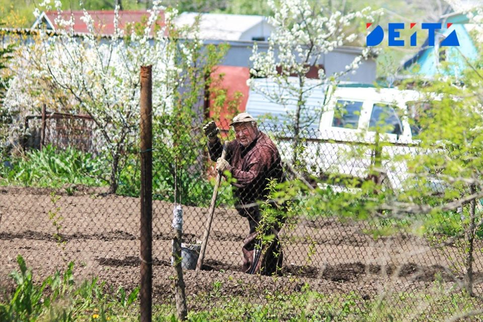 ����� ������� ��� ����������� � ������: ���� ������� � ������