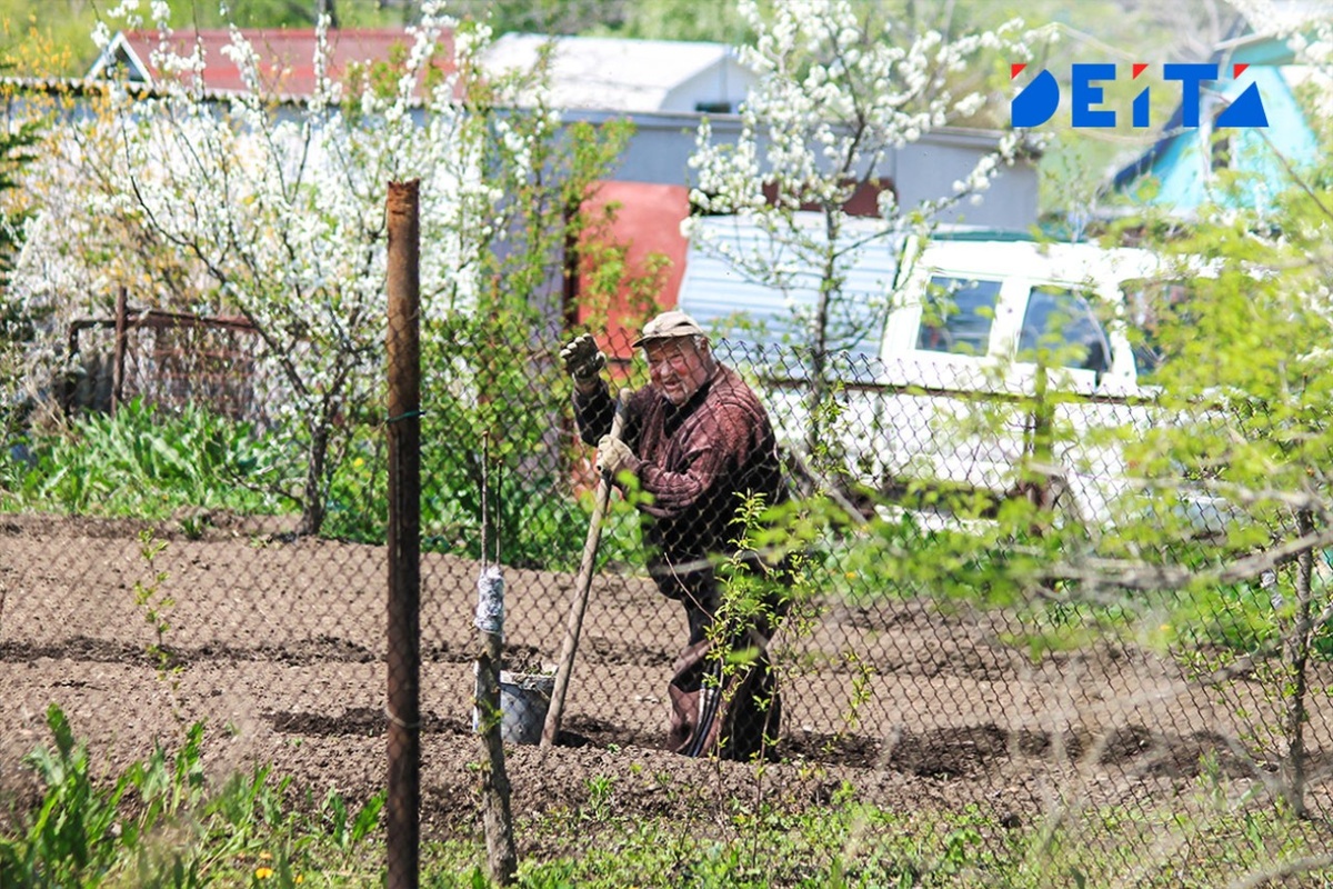 Новые правила для пенсионеров с дачами: чего ожидать в апреле
