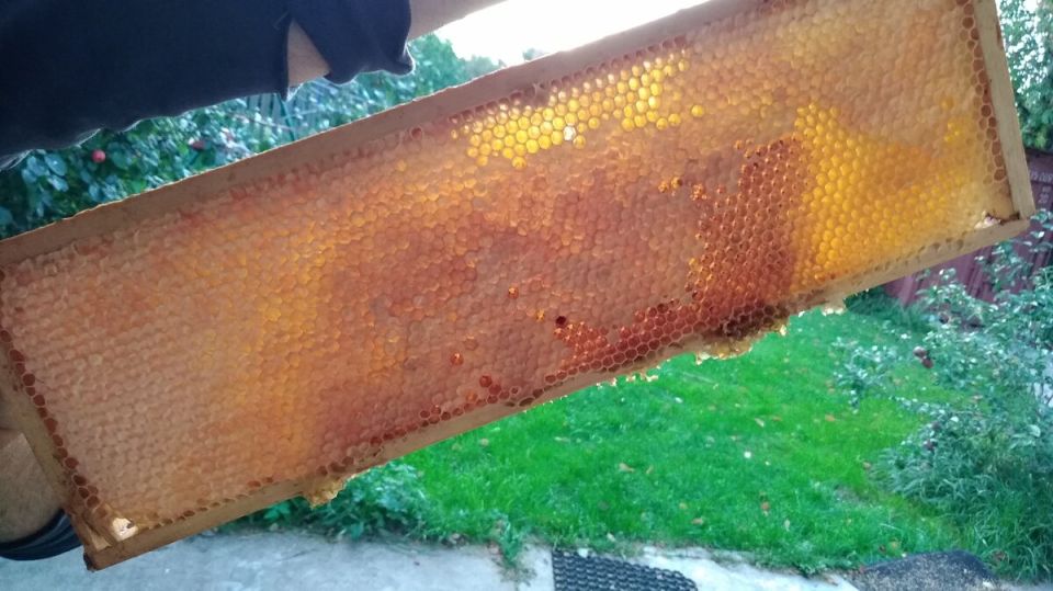 ������ ����� �������� ������� ���� �� ��������?