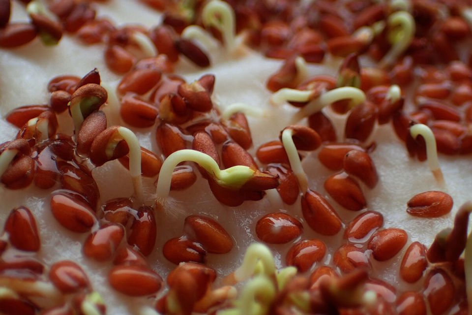 ��������� ����� ������������ �����: ����� �� ��������� ��������