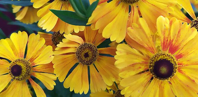 ������������ ������� ������ ��������� �����