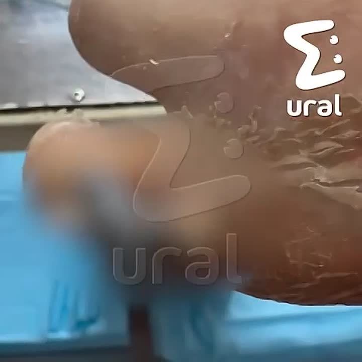 �������������� ������ ����, ������� ������ ������ �� �����-�������� � �������������