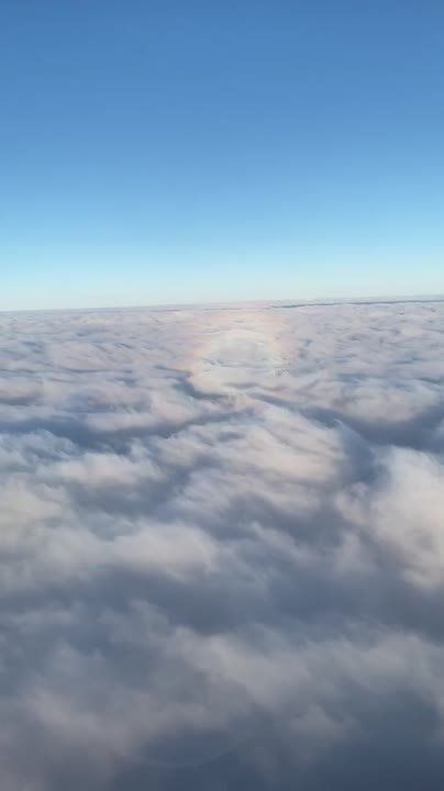 ����� ���������� ��������� ���������� �������� �������