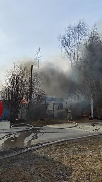 � �����-�������� ����������� ������������ ��������� ��� ����������� ��-�� ������