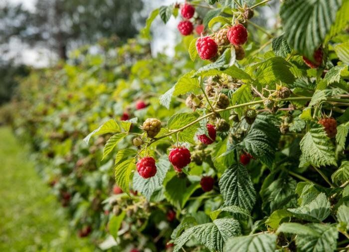 ��� ������� ��������� ������� ����� ��� ��������� � ����