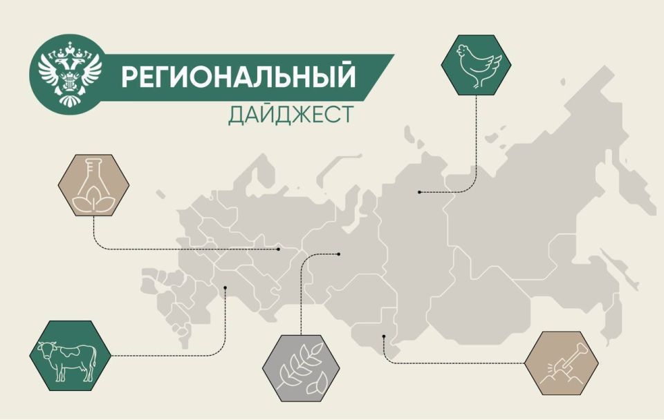 � ����� ���������� ������� ������������ � ������������ ����������������� � ��������