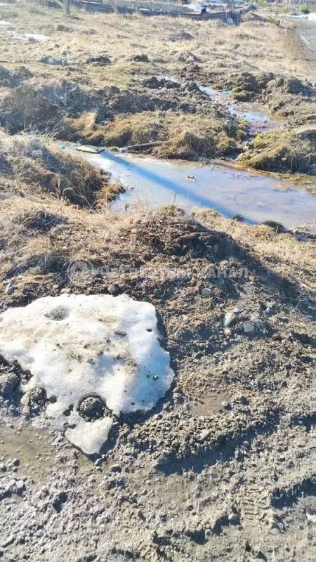 �������� ��� ���������� ������� ������ ������ ����������