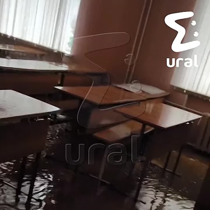 ���� ������� � ������� � ��������������� �������� � �������������