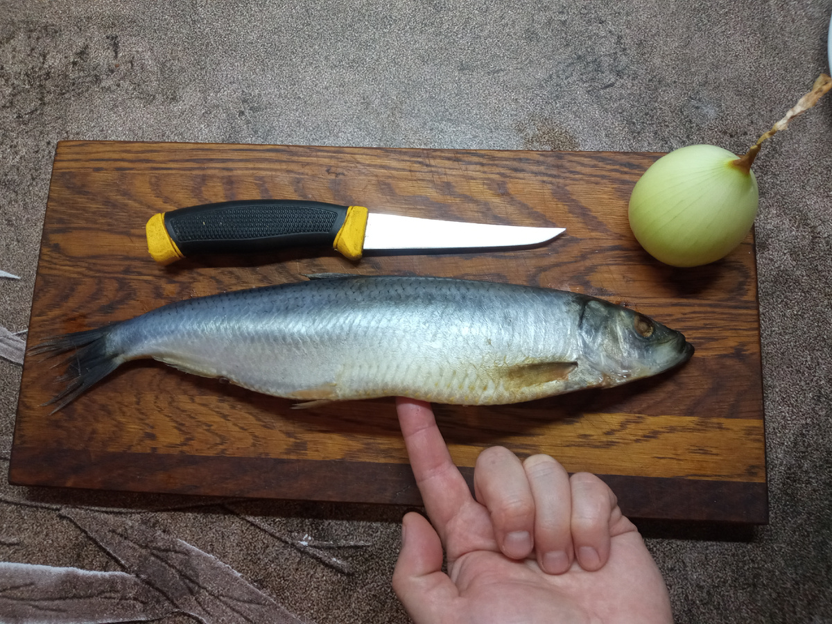 Почему уха из селедки не станет кулинарным шедевром