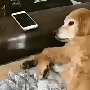 Дети должны пользоваться гаджетами не больше 20-40 минут