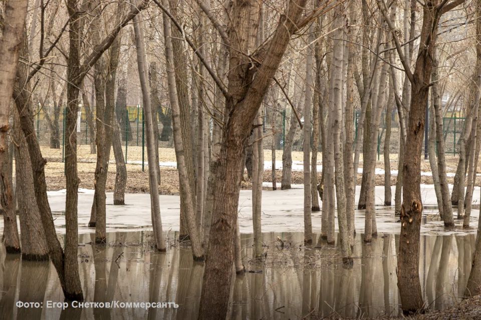 ������ ������������ ������� ������������ � ����� ������ ���� ��� ������� �� ���������� �������� ��-�� ������ �� ��������� � �����-���������� ��������������