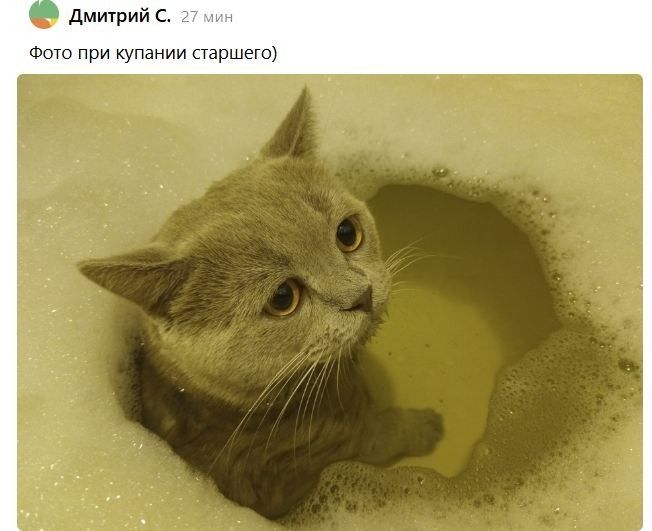 ��� ������� ������� ������� ����� ������� �������