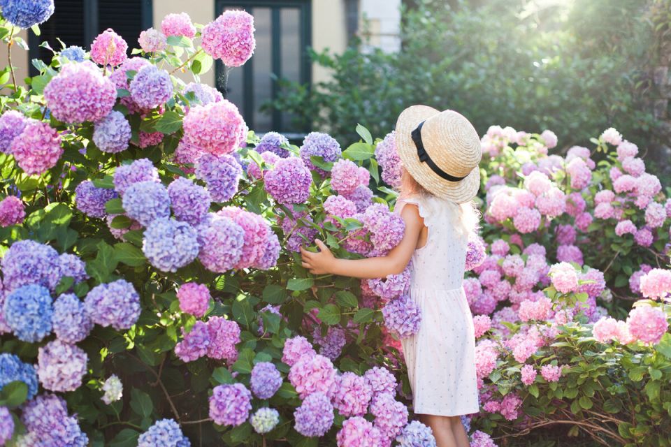 ��������� �����: ���� �������������, ������� ������� ��� ���