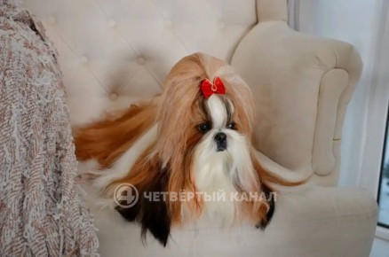 �� ������ ������������� ����� ��-��� ��������� ������� � ���������� ����� 250 ����� ������