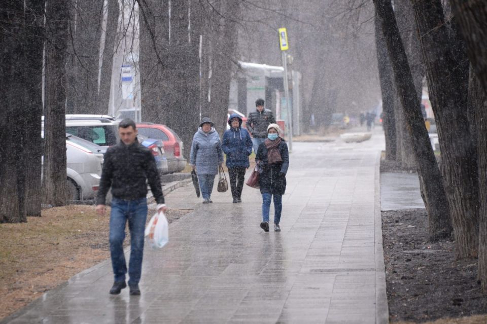 � ������������ ������� �� ������ ��������� �����������, ����� � ����