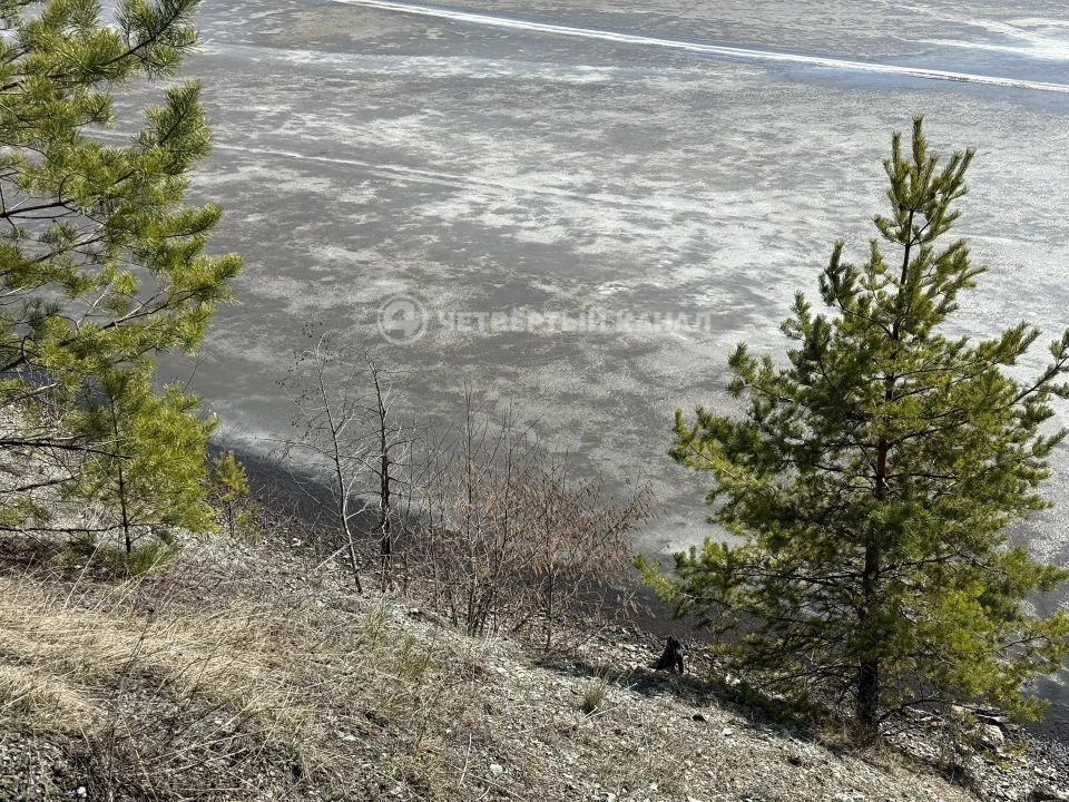 ������� ���� ���� �����: �������� �����, ������������� ��� �� � ����, ���������� 4 ������ ����������� ��������