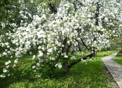 ��� ��������� ������� ����� ����������� ��� ���: ������ �� ����� �� ��������