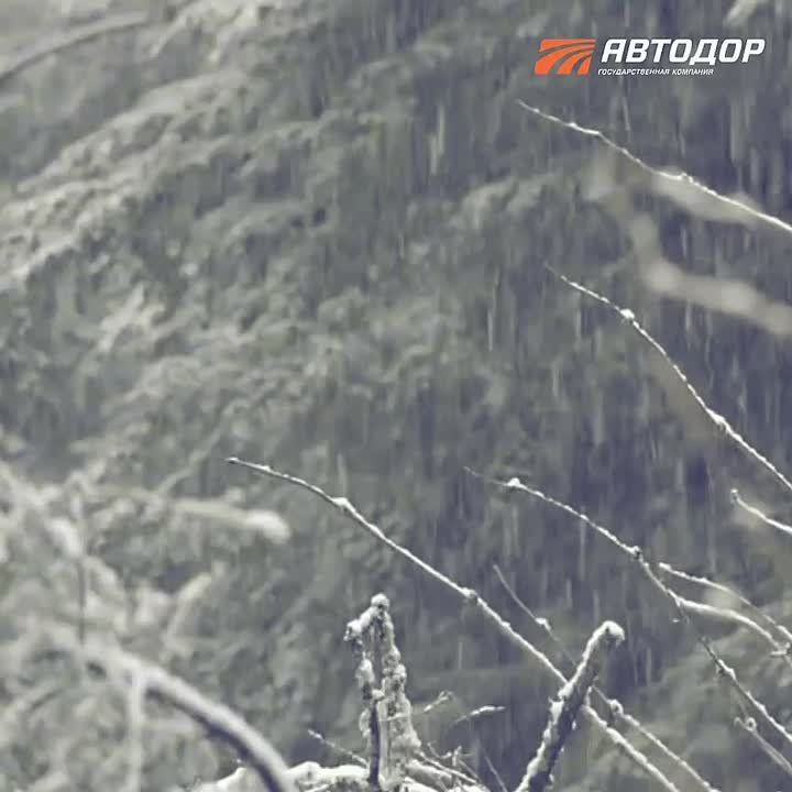 Внимание, водители! Ожидается ухудшение погодных условий