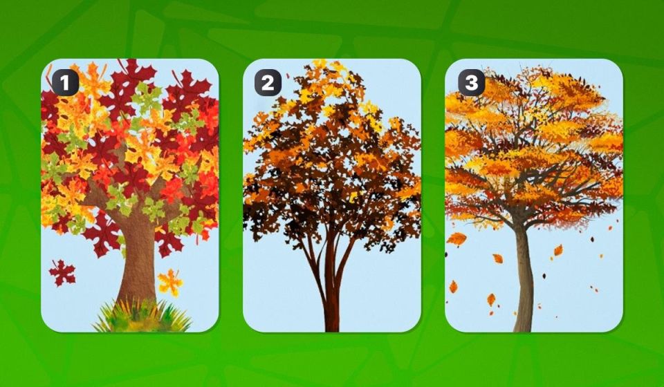 ��� �� ������������ �� ��������? �������, ������ ��� ����