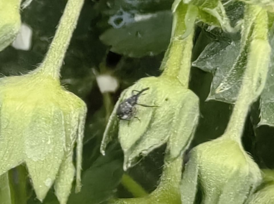 ������� ���������: ����� �������� ����� �� ��������?