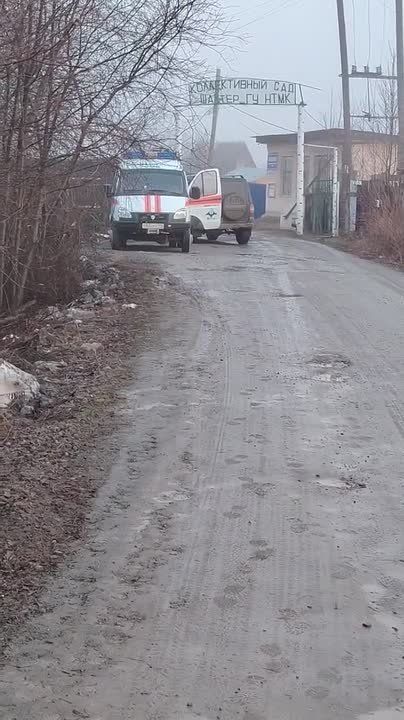 Владислав Пинаев: Коллективный сад «Шахтёр» — обстановка стабильная