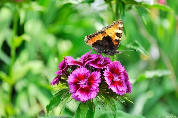 ����������� �������� �� �����: �������� ������ � ������� ������