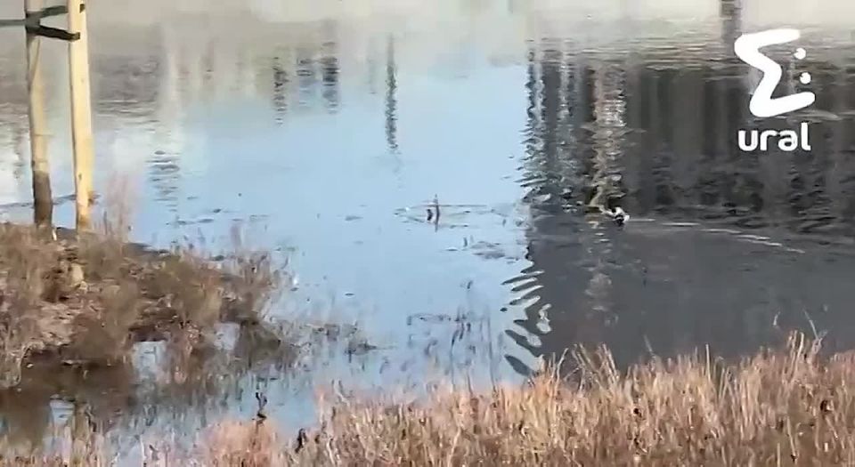 Набережная Исети уходит под воду из-за паводка — сейчас там затоплены лавочки, деревья и мусорные контейнеры