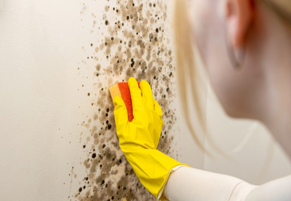 ������� ��� ���������: ��� �������� �������� ���������� �������� ������� � ����� � �������