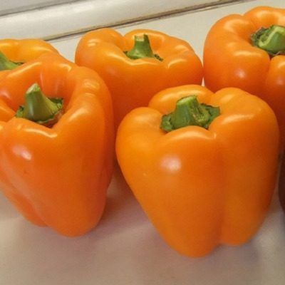 ����� ����: ��������� ����� ��� ��������� �������� � ������� ������