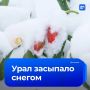 На Урал вернулась настоящая зима: мощный снегопад накрыл север Свердловской области, а сугробы в некоторых городах достигли 15 сантиметров