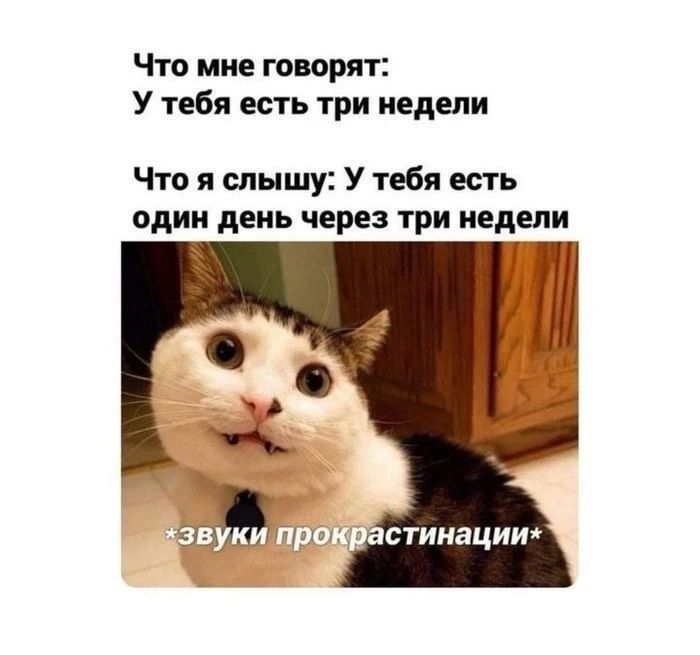 ������ �������� ������ ��������������