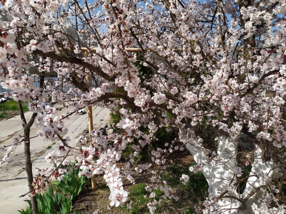 ����������� ������ �����������: ��� ���� �� ������ ������ ���� ���