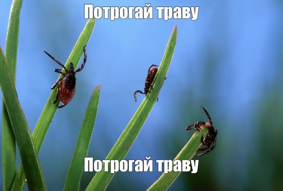 ������ � ������ ������ ��������� ���������� ���������������� � ������������ �������