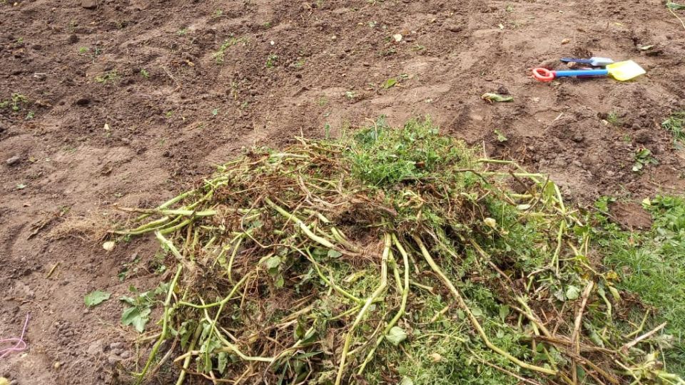 ������������ ����� ��� ���������� ���������