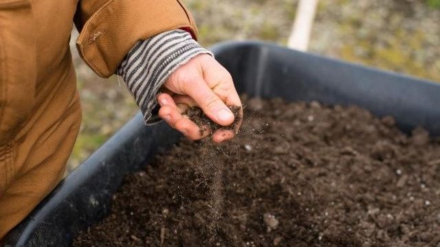 ��� ��������� ����� �������� ����� ������������ ����� ��� ����� ��������