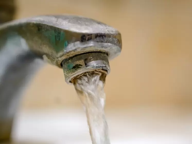 Как тулякам защититься от гриппа: полезные советы от Роспотребнадзора