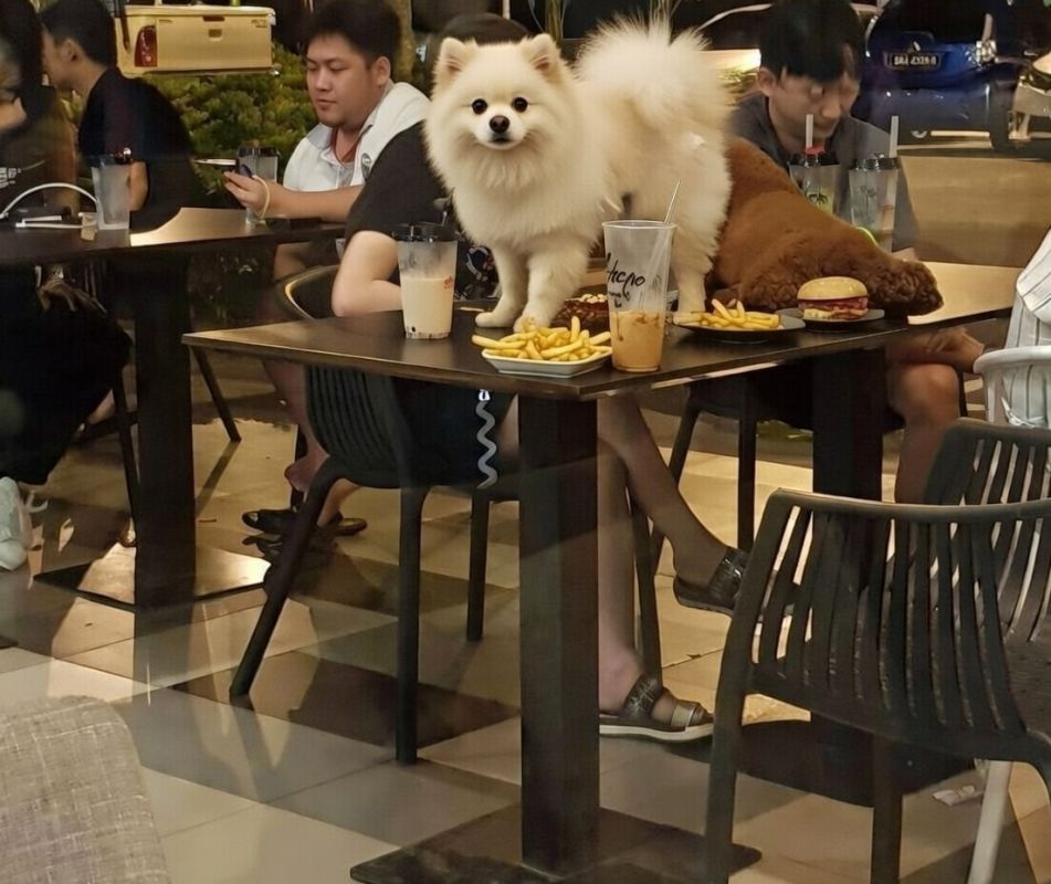 ��������� �������� � ����: ����� ������ � �������� � ����� ��������� �������