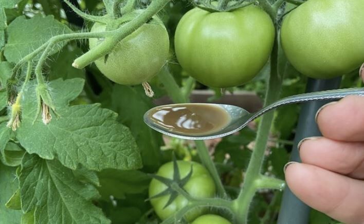 �������� ������� ����� �� ��������: �������� ������� ��������������