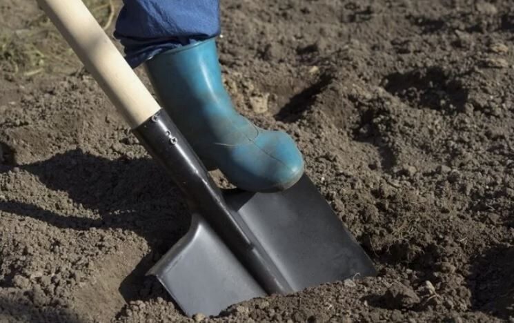 ������� ��������� �������: ����� �� ���������?