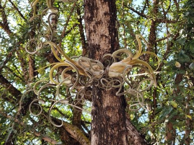 ���������� � ����� �������: ����������� ����� � ����-���������