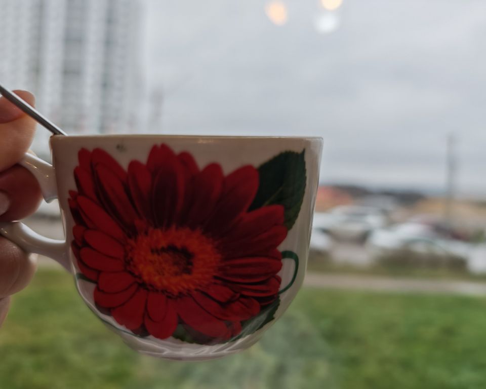 ��� �������� ����������� � ������� ���� ����� ���������� �� ��������