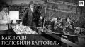 Как терпимое к скоту превращается в кулинарный деликатес: история картофеля во Франции