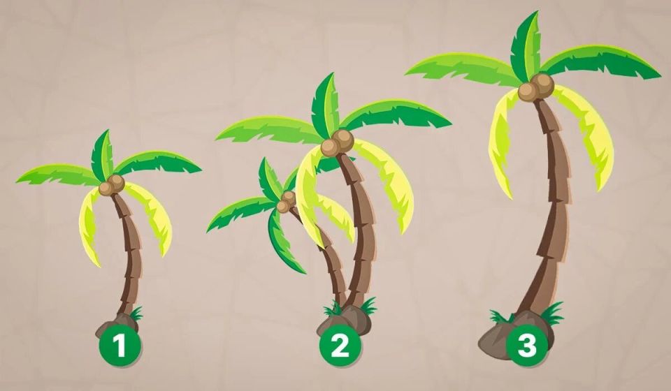 ����� ������� ����������� � ���? �������� ���� �� ��������