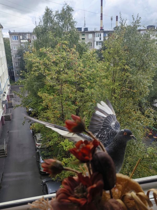 �������� �� �����: ��� �������� ������� ��� ���������� ���� � 2025 ����