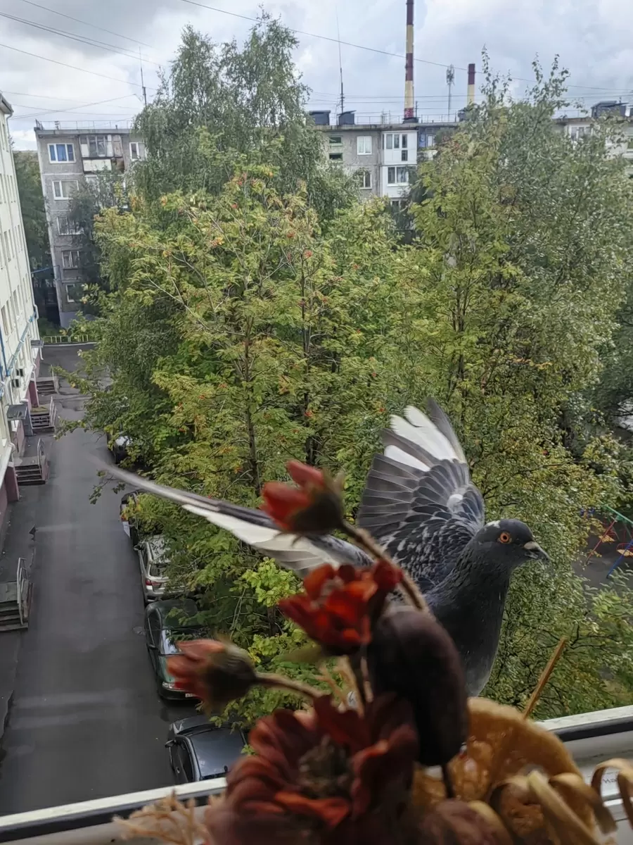 Экзотика на столе: что выбирают гурманы для изысканных блюд в 2025 году