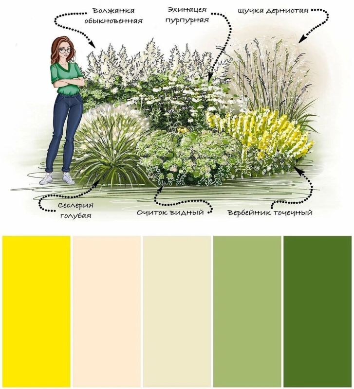 �������� ������� ������ ����: �������� � ����������