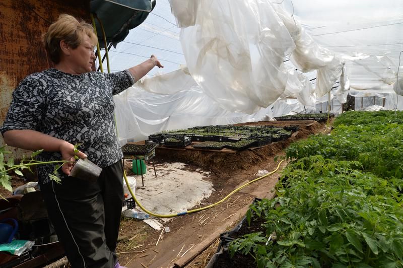 ��� ����������� ������� �������� ��������� � ��������� ����: ���������� � ������� ����-������