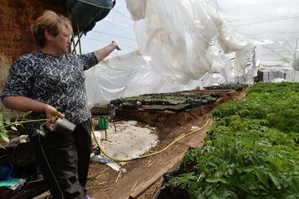 ��� ����������� ������� �������� ��������� � ��������� ����: ���������� � ������� ����-������